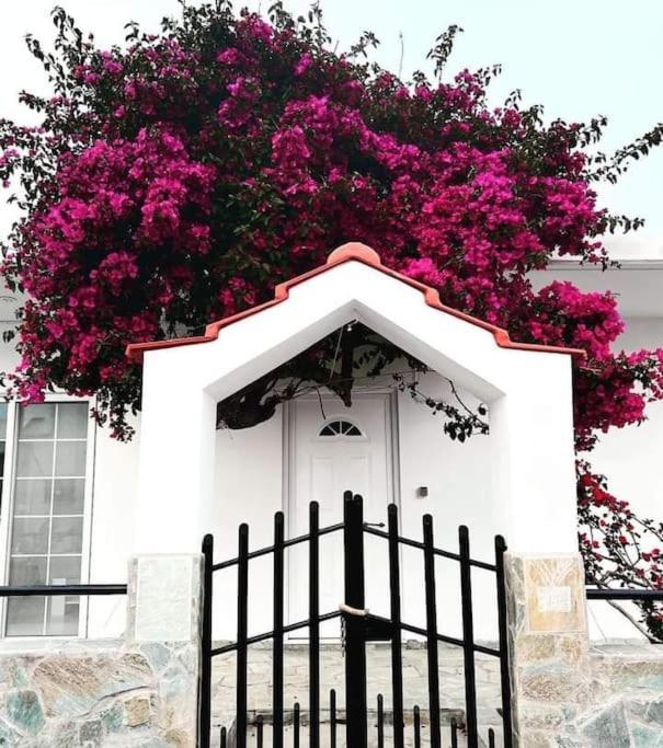 Annika'S Summer Dream Livadia  Ngoại thất bức ảnh