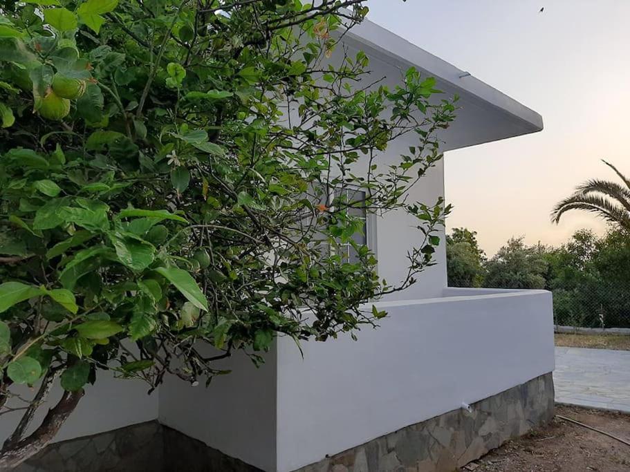 Annika'S Summer Dream Livadia  Ngoại thất bức ảnh